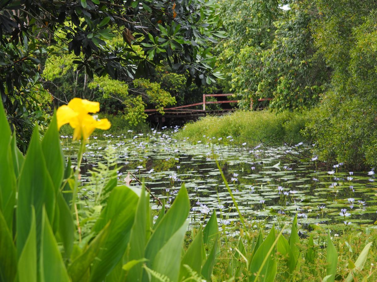 Lilypad Luxury Cabins เบลลิงเกน ภายนอก รูปภาพ